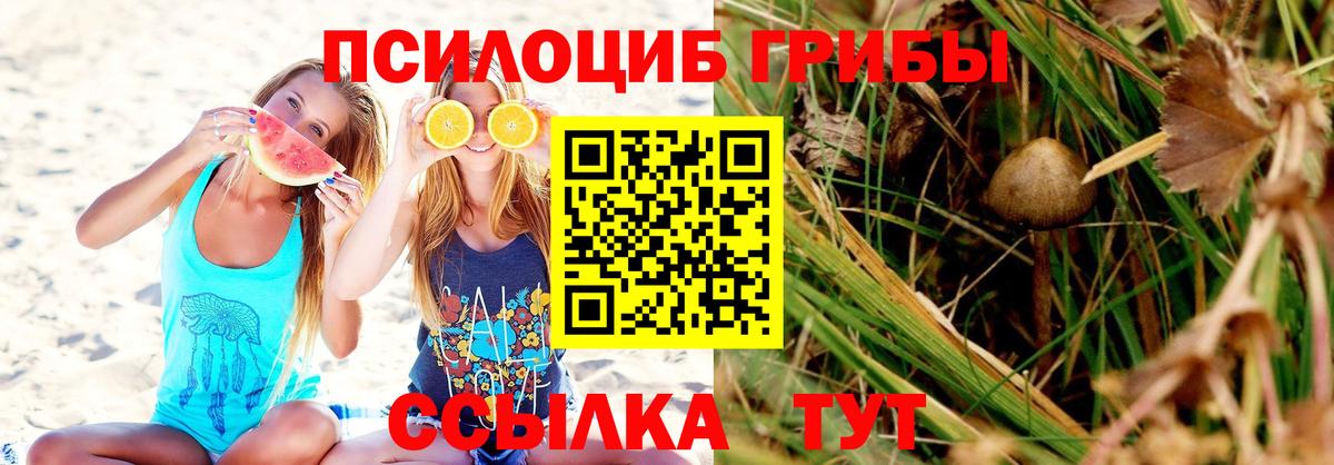 Сокол  Галлюциногенные грибы MAGIC MUSHROOMS  Вход с VPN 
